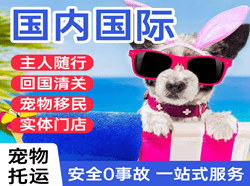 甘孜康定航空运输国际宠物托运 【国